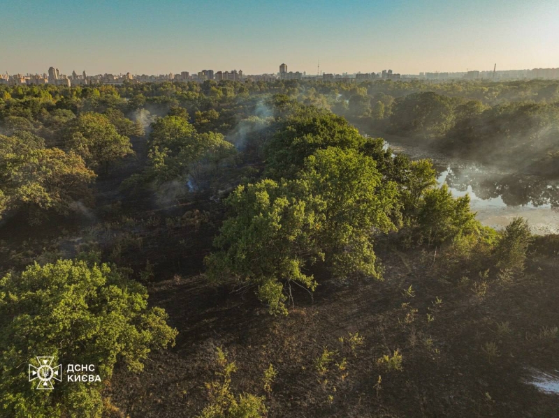 У Києві рятувальники ліквідували пожежі у трьох районах (фото)