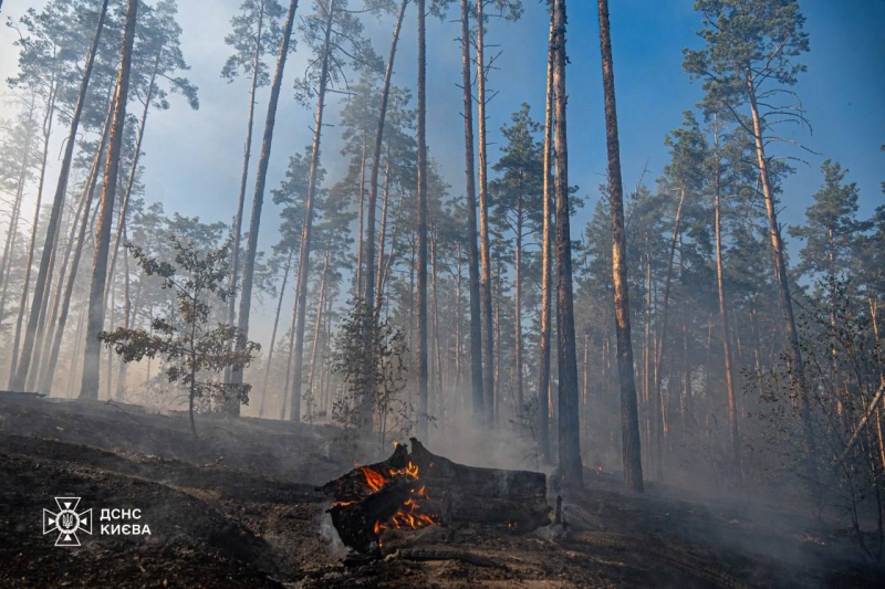 У Києві рятувальники ліквідували пожежі у трьох районах (фото)